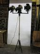 Lighting Fixture