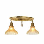 Ceiling fixture