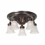 Ceiling fixture