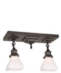 Ceiling fixture