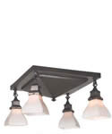 Ceiling fixture